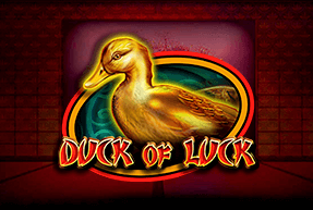 CTInteractive | Duck Of Luck