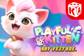 KAGaming | Playful Kitten